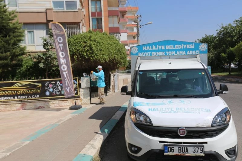 Haliliye’de ekmek israfı önleniyor
