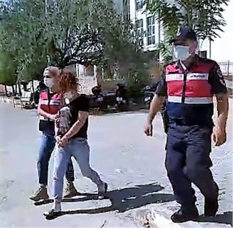 Ev hanımı 10 metrelik direğe çıkıp 250 kiloluk trafoyu çaldı
