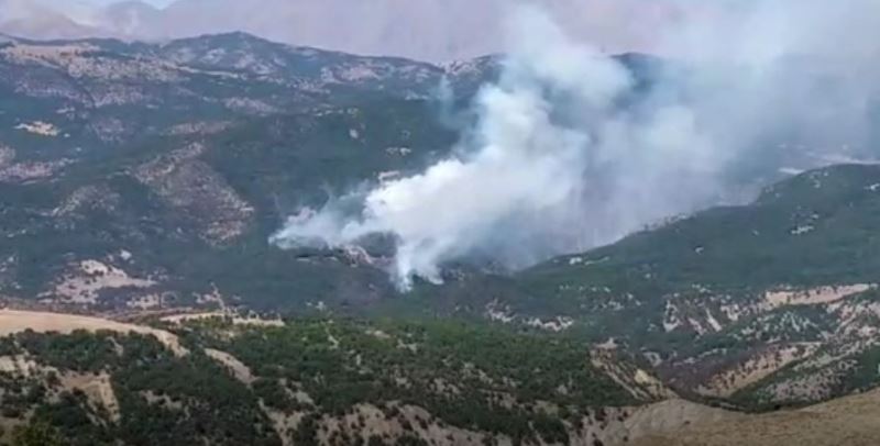 Tunceli’deki orman yangını devam ediyor
