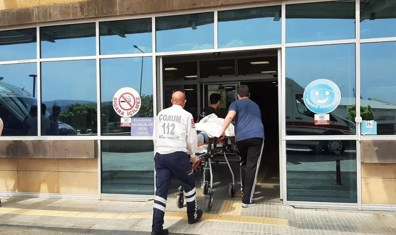 Tartışmada anne-oğul silahla yaralandı
