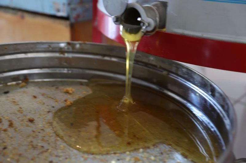 Coğrafi işaretli balda sağım dönemi başladı
