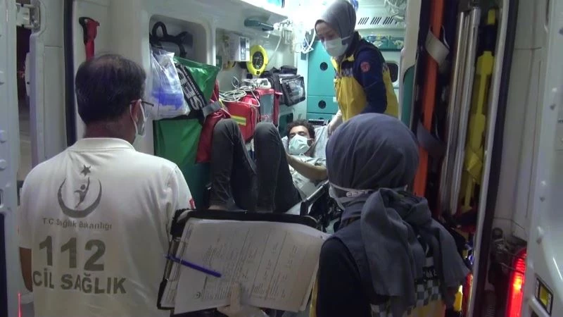 Fındık toplarken yılanın ısırdığı vatandaş hastanelik oldu
