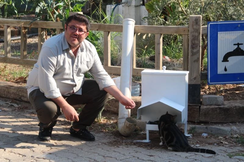 Başkan Kökten’den sokak hayvanları için örnek proje
