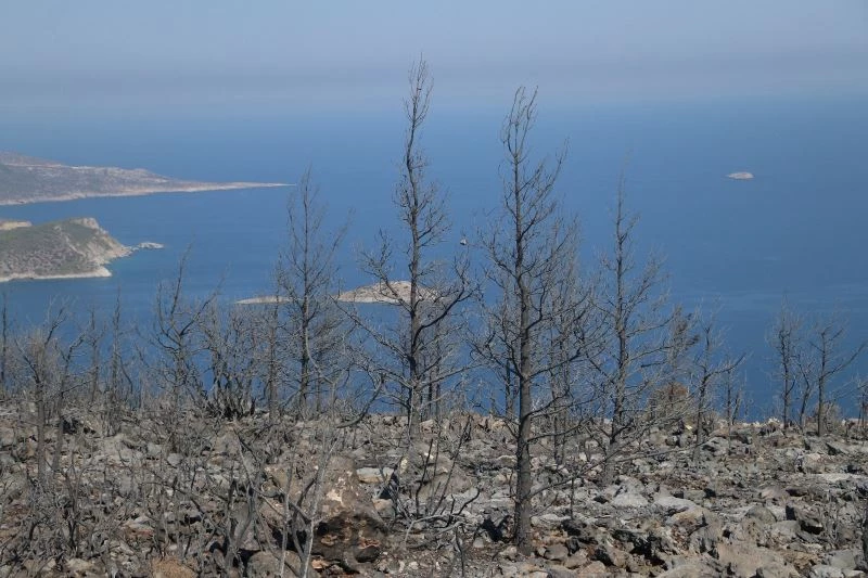 Seyir tepesinden acı fotoğraf net şekilde görülüyor
