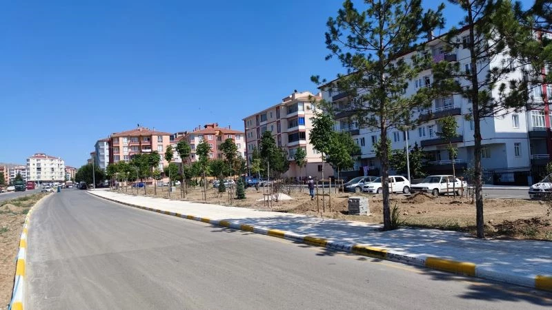 Çorum Belediyesi kenti yeşillendiriyor
