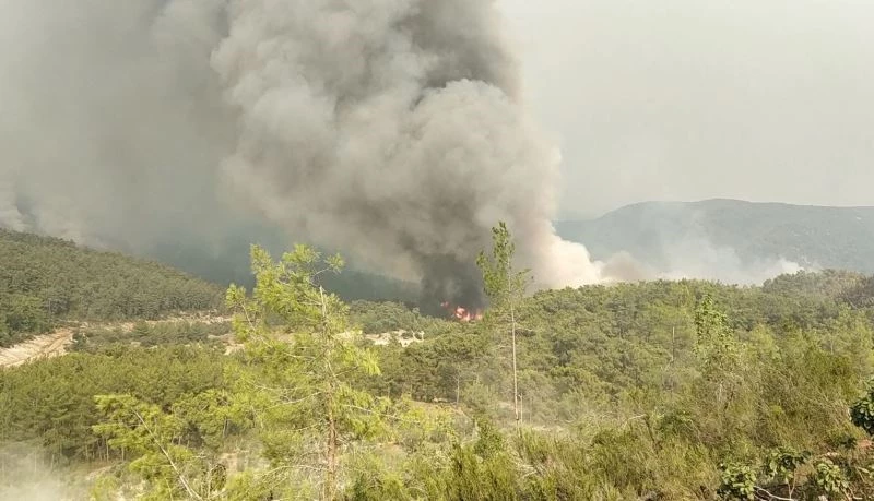 Manavgat’ta alevlerle mücadele sürüyor: Dumanlar gökyüzünü kapladı
