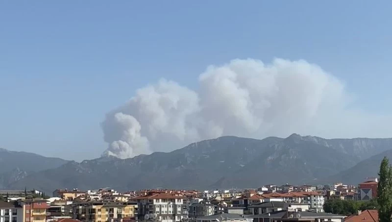 Tavas’da orman yangını
