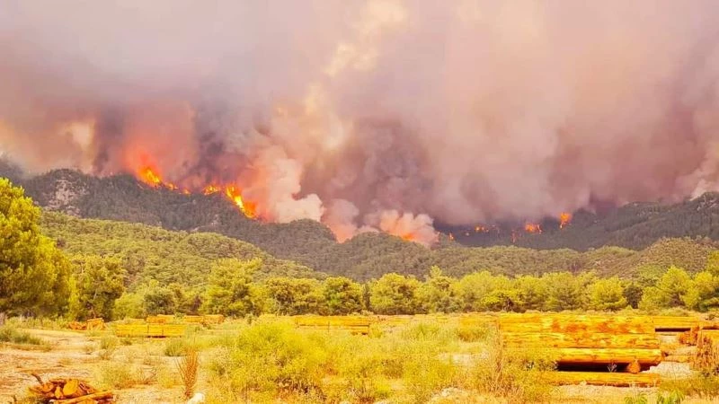 Muğla’da artan sıcaklarla birlikte alevler yeniden yükseliyor
