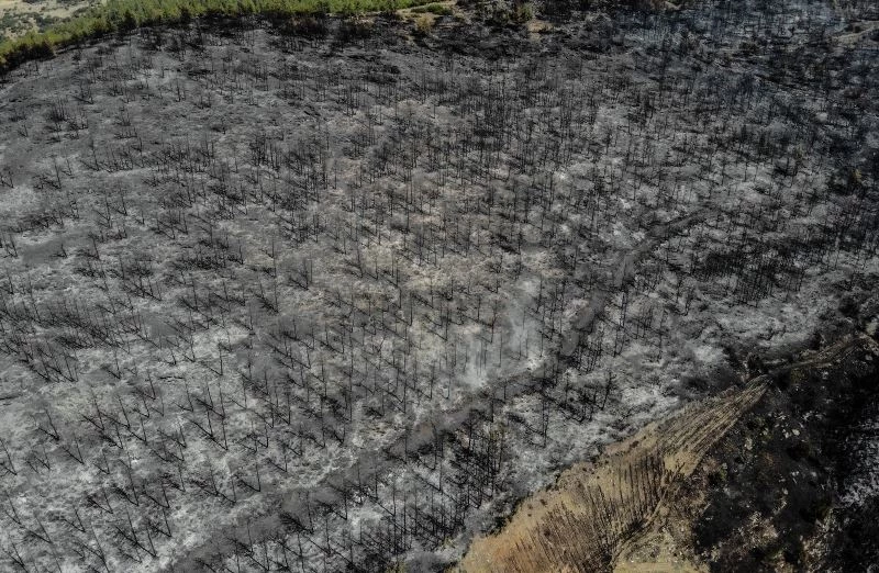 Muğla Kavaklıdere’de boşaltılan köylere geri dönüş başladı
