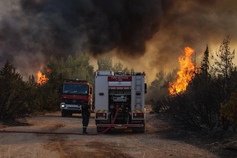 Atina çevresinde ormanlar alevlere teslim oldu
