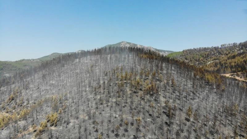 Isparta’daki Çandır köyünde söndürülen alanlar havadan görüntülendi
