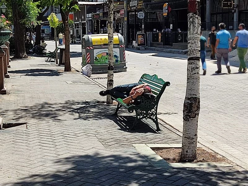 Kavurucu sıcağa aldırış etmeden güneşin altında uyudu
