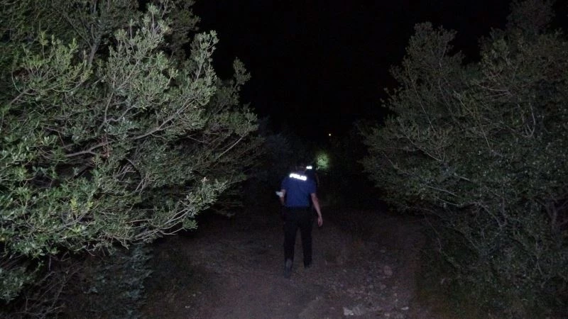 Orman yangını sanıldı, çiftlik yangını çıktı
