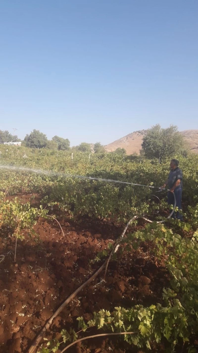 Diyarbakır’da kurumaya yüz tutan üzüm bağları itfaiyenin desteği ile sulandı
