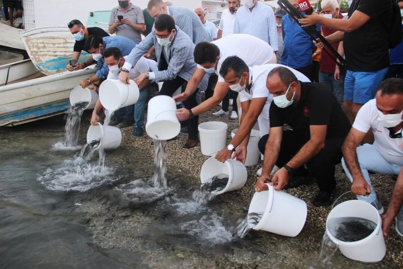 Önce denizi temizlediler sonra 30 bin yavru balığı denize bıraktılar
