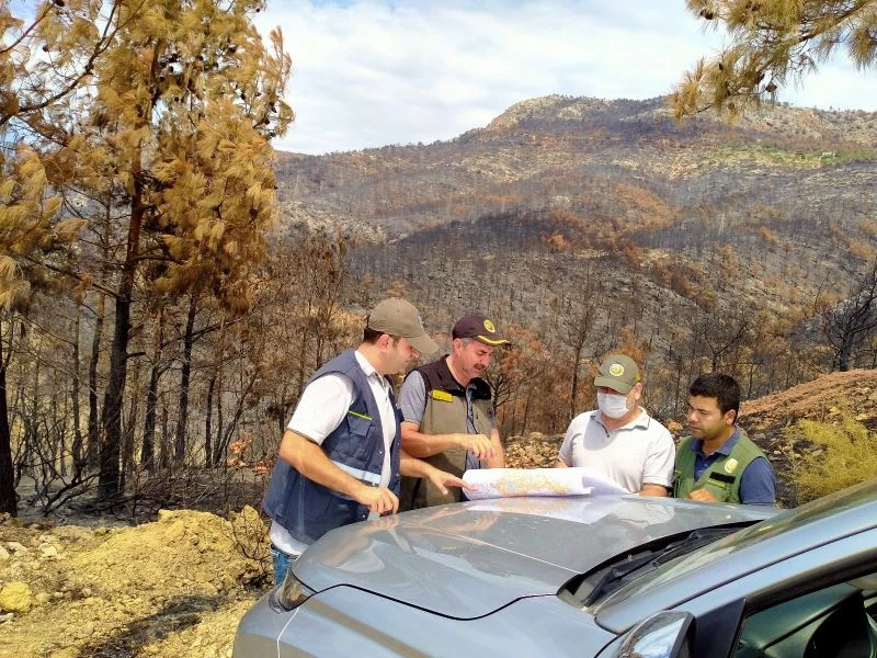 Mersin’de yangın alanlarında gençleştirme tespitleri tamamlandı
