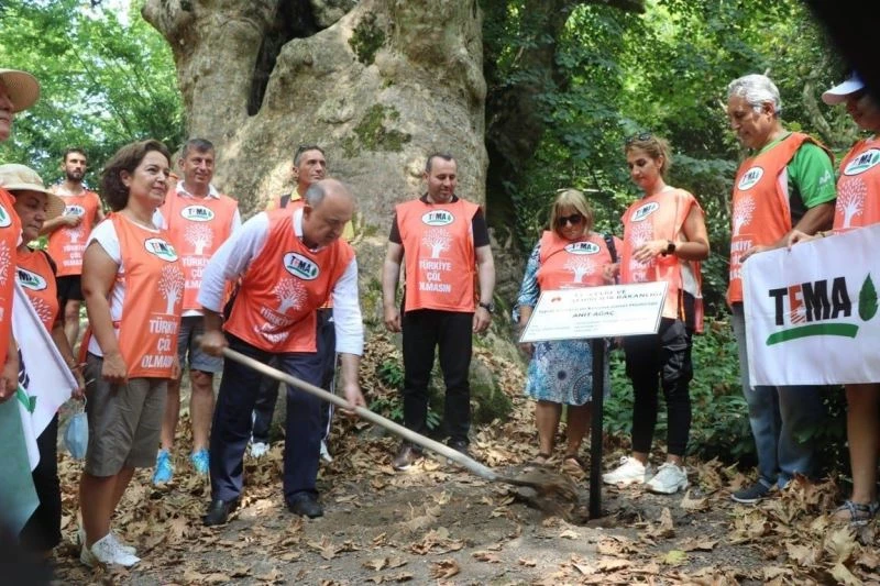 Kapalıçınar’a tescil plâkası
