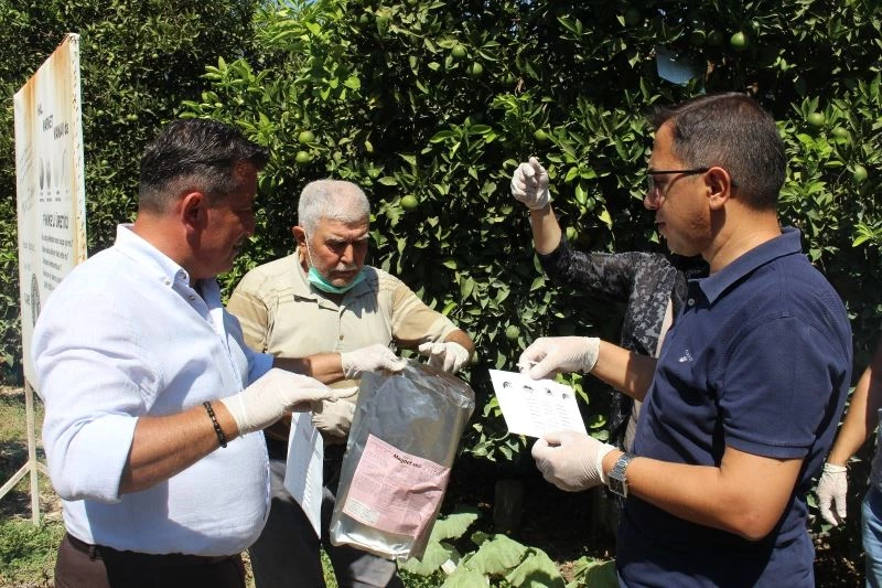 Akdeniz meyve sineğine karşı biyoteknik mücadele
