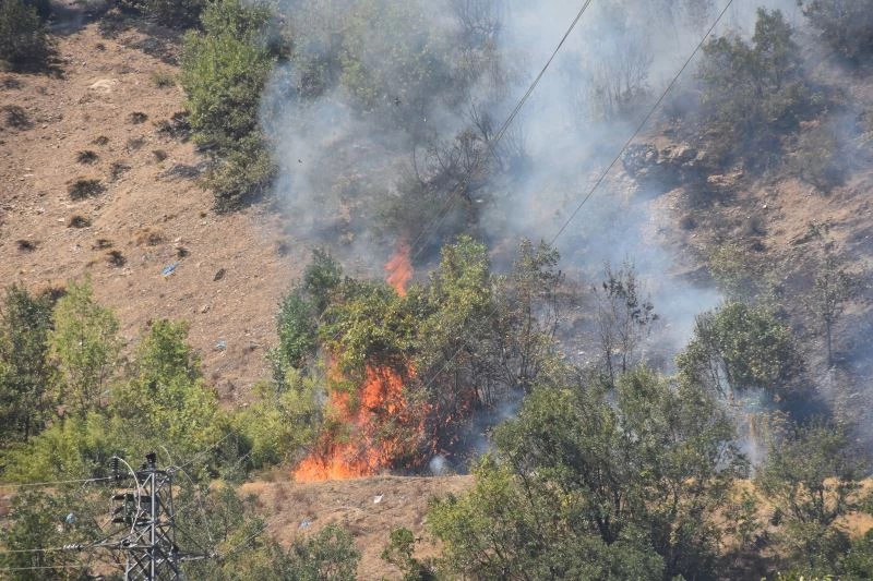 Bitlis’teki orman yangını rüzgarın etkisiyle büyüdü
