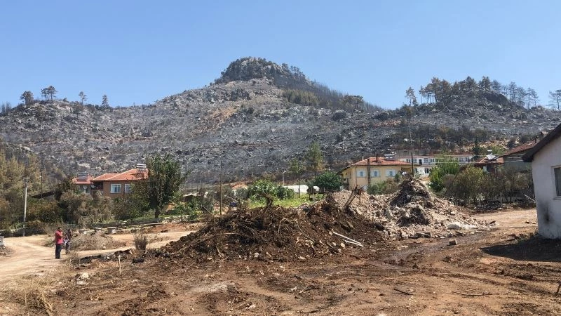 Sütçüler’deki yangın büyük ölçüde kontrol altına alındı
