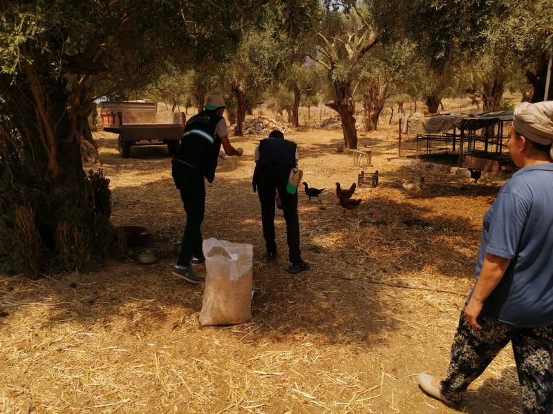 Sincan Belediyesi, yangın bölgelerindeki hayvanları unutmuyor

