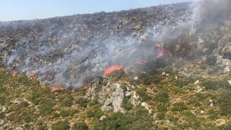 Mazı Mahallesi yolundaki dağlık alan yeniden alev aldı
