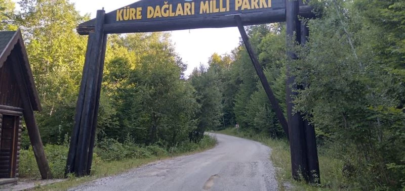 Küre Dağları Milli Parkı girişindeki ahşap levha tehlike saçıyor
