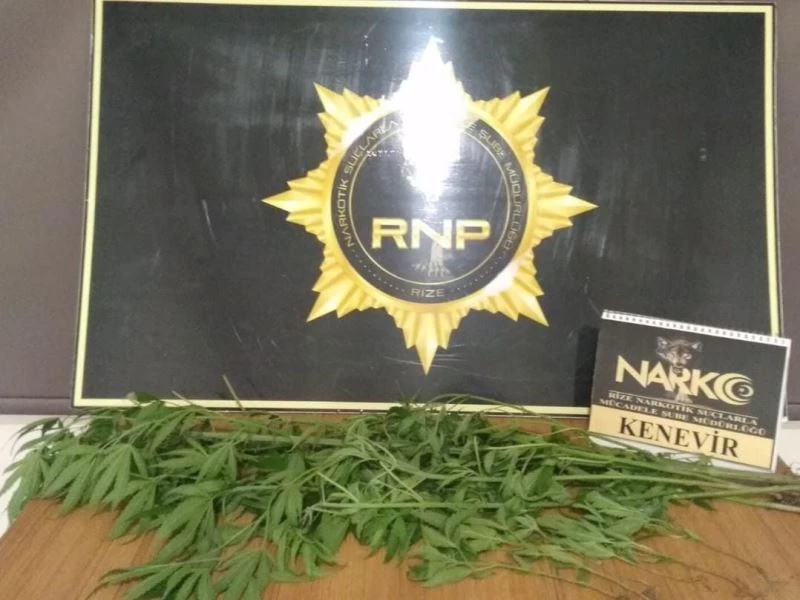 Rize’de 1 ay içerisinde 42 şahıs tutuklanarak ceza evine gönderildi
