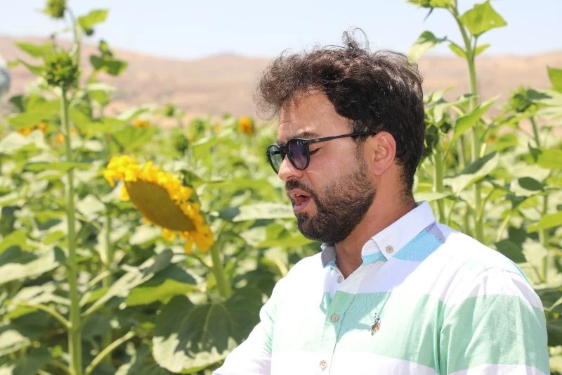 Ünlü tenordan ayçiçeği tarlasında arya
