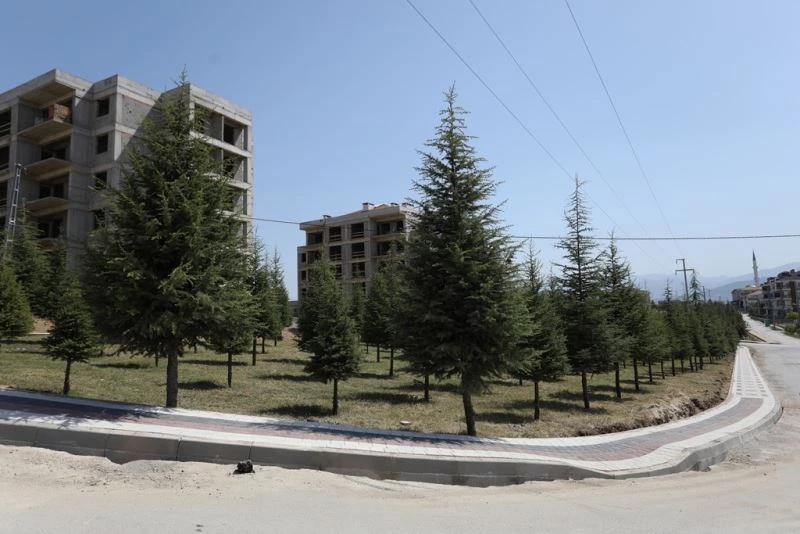 Koruluk alanlar modernleşiyor
