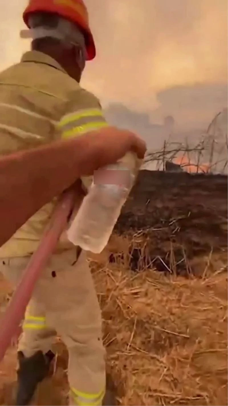 Su içmeyi reddedip orman yangınına kahramanca müdahale etti
