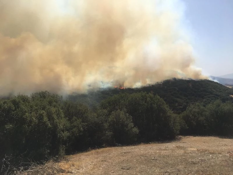 Denizli’de 2 kere kontrol altına alınan yangın  tekrar başladı
