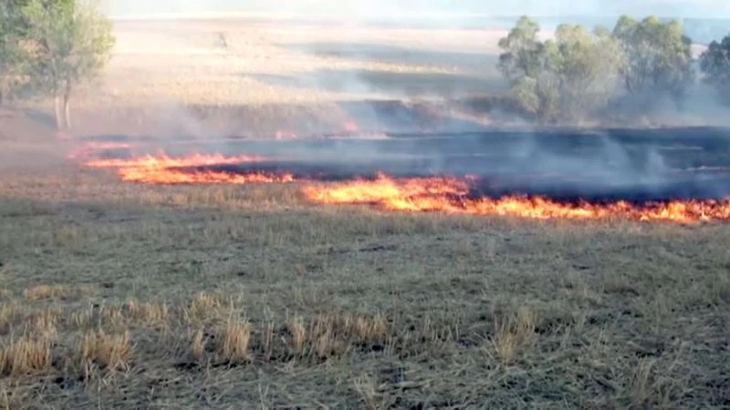Anız yakanlara dekar başına 80 TL ceza kesilecek
