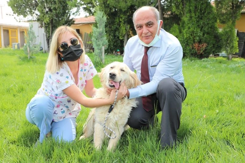 Odunpazarı Belediyesi sokak hayvanlarını sahiplendiriyor
