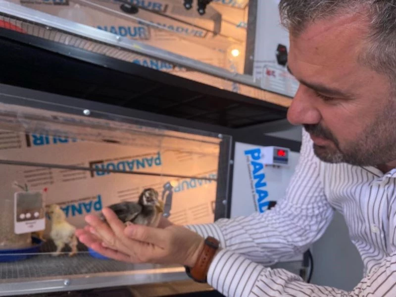 Pursaklar Belediyesi tarafından ’Kuluçka ve Ana Kucağı Tesisi’ hayata geçirildi
