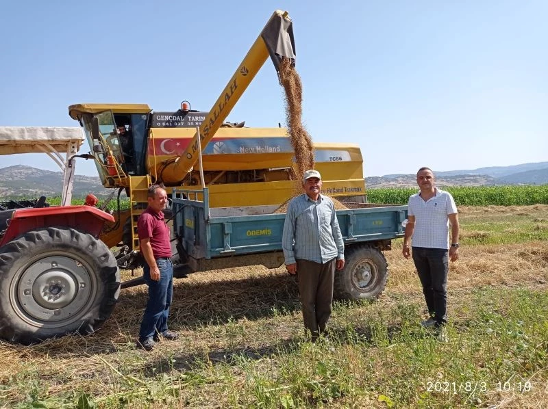 Hububatta biçerdöver kontrolü
