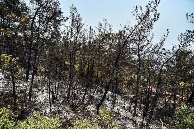 Marmaris’te siteye kadar inen yangında faciadan dönüldü
