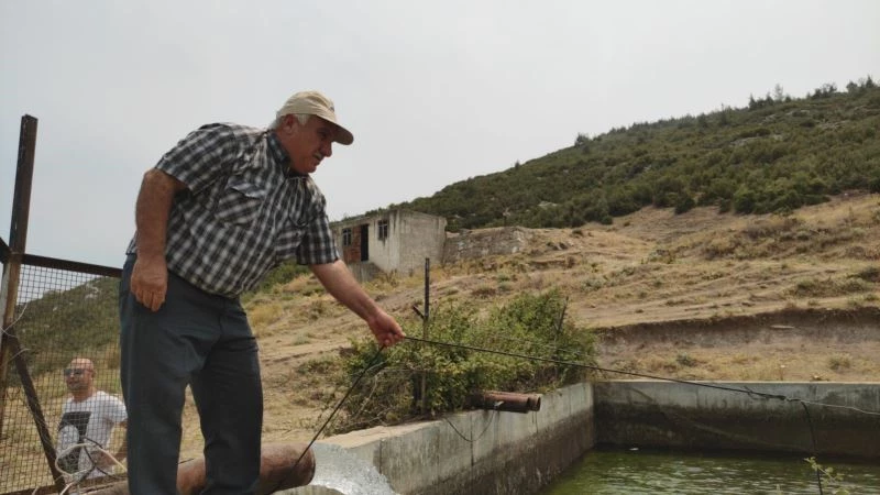 Orman yangını hızlı müdahaleyle büyümeden söndürüldü
