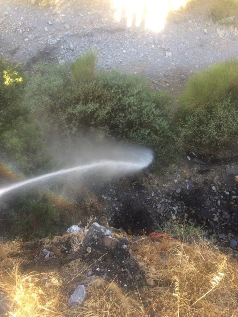 Doğanbey’deki yangın hızlı müdahale ile söndürüldü
