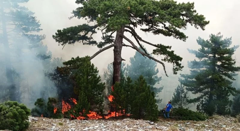 Kavaklıdere yangını Menteşe sınırlarında devam ediyor
