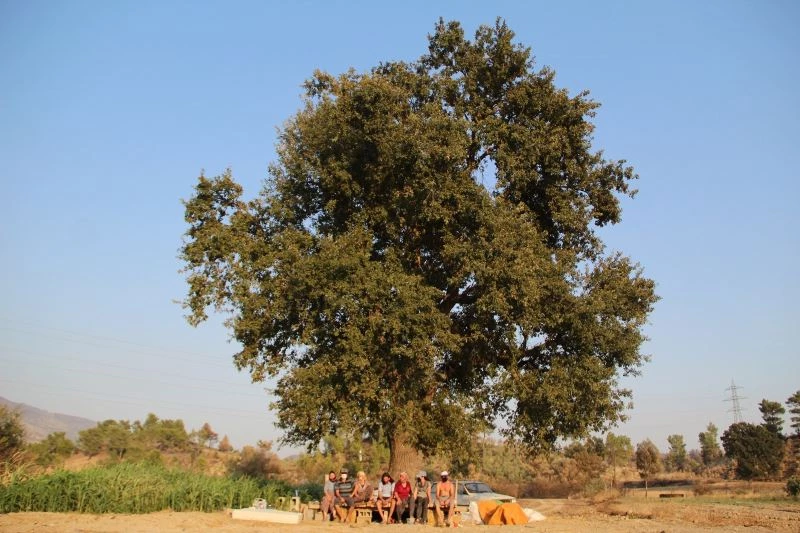 Yangının ardından 40 derece sıcakta çardakta yaşam mücadelesi
