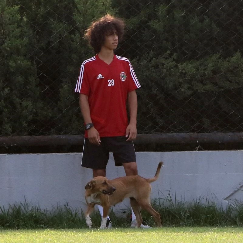 Turgutluspo’un sabah antrenmanına davetsiz misafir
