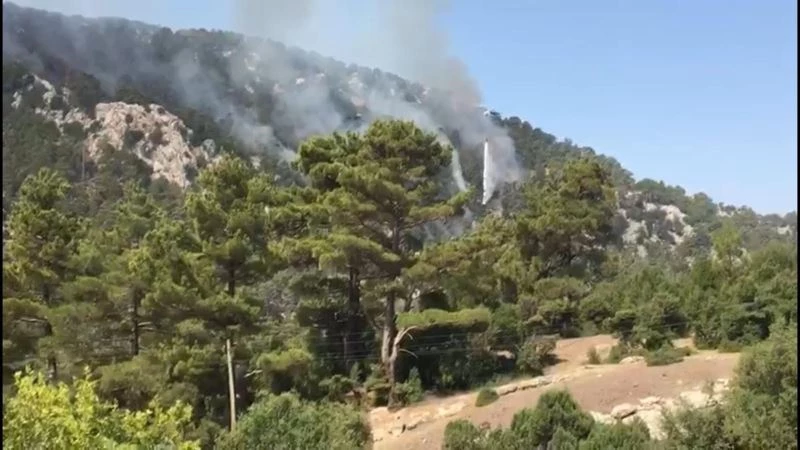 Sütçüler’deki yangın 5’inci gününde 3 bölgede devam ediyor
