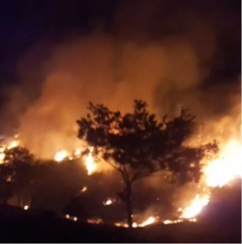 Buldan’da geceyi aydınlatan alevler kontrol altına alındı
