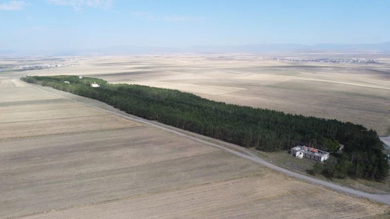Bozkırın ortasındaki ‘vaha’ havadan görüntülendi
