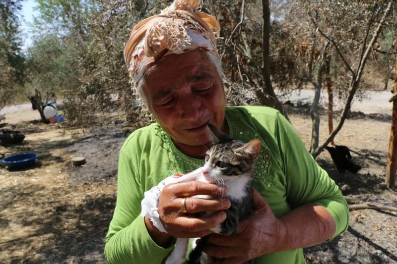 Orman yangınından son anda kurtulan yaşlı çift, tedavi edilen kedilerine kavuştu