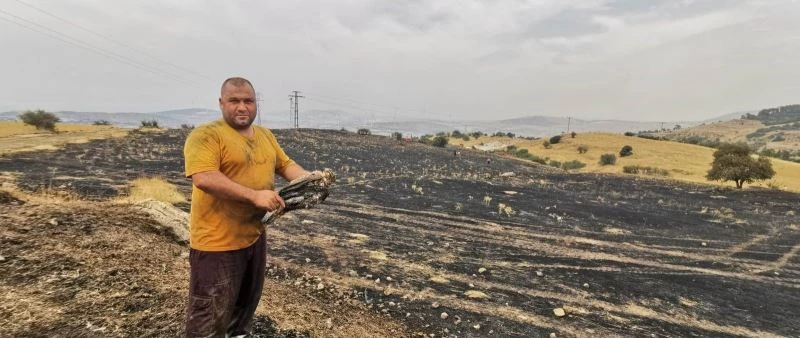 Şahin trafoya çarptı, yangın ormana sıçramadan söndürüldü
