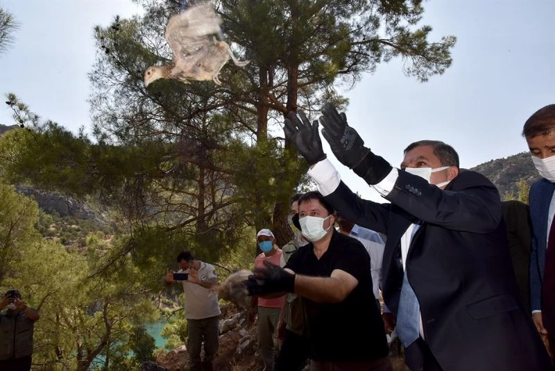 Karaman’da 840 sülün doğaya bırakıldı
