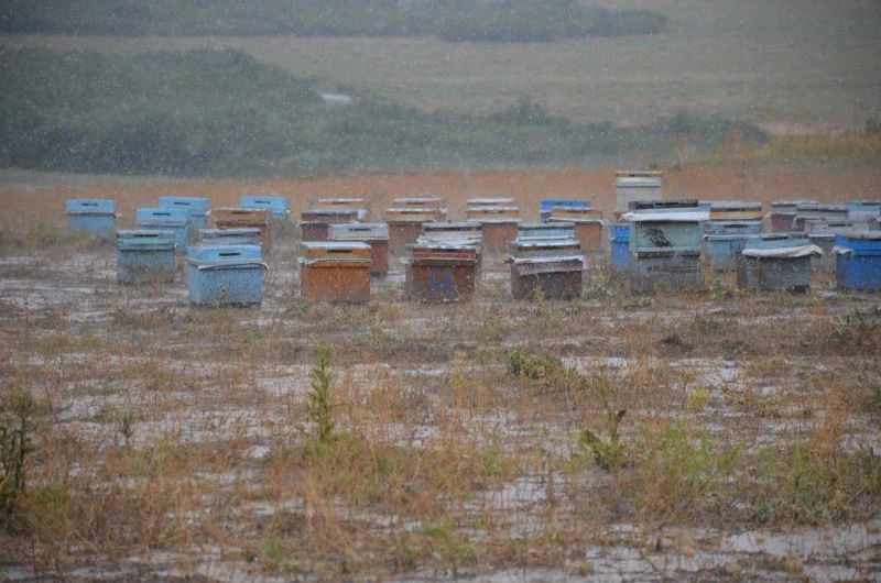 Yağışlar arıları vurdu

