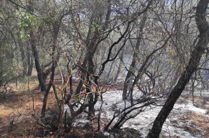 Osmaneli’de gözetleme kulesi yangının büyümesini önledi
